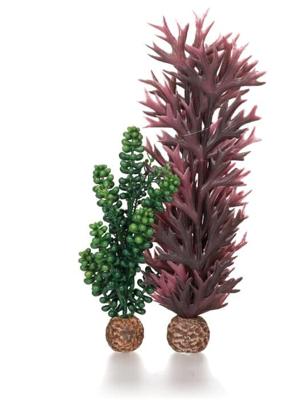 biOrb zeeparels & zeewier olijfgroen