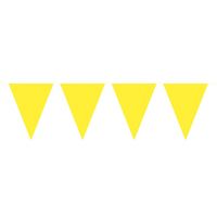 Gele slinger met vlaggetjes 10 meter - thumbnail
