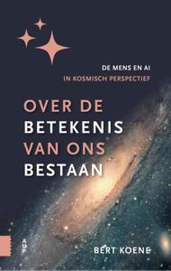 Over de betekenis van ons bestaan (Hardback)