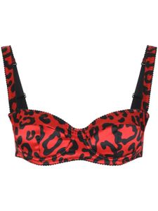 Dolce & Gabbana soutien-gorge à imprimé léopard - Rouge