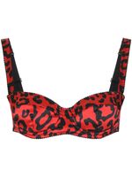 Dolce & Gabbana soutien-gorge à imprimé léopard - Rouge