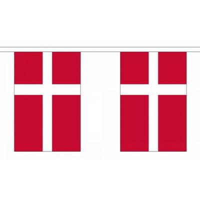Luxe Denemarken vlaggenlijn 9 m