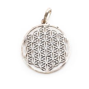 Flower of Life Hanger Messing Zilverkleurig (3 cm)