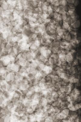 Moooi Carpets - Vloerkleed Lying Petals Soft Yarn -