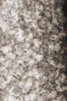 Moooi Carpets - Vloerkleed Lying Petals Soft Yarn -