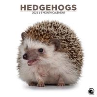 Egel Kalender 2026
