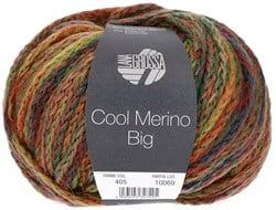 Lana Grossa Cool Merino Big Color 405 licht olijf/roest/geelgroen/roze/terracotta/grijs/donkergroen