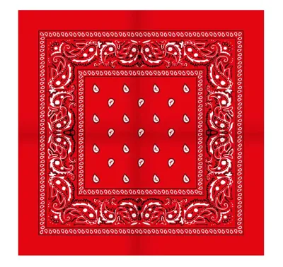 Boerenzakdoek Rain drop 54x54 - Rode zakdoek
