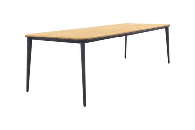 Alaska tuintafel - teak/aluminium - antraciet - 270x100 cm.