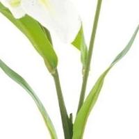 Lilium spray Jakarta cream 53 cm kunstbloem Erutan Avon - Erutan avon