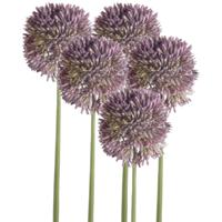 Allium/Sierui kunstbloem - 5x - losse steel - lila paars - 65 cm - Natuurlijke uitstraling