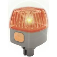 Eichhorn Constructor Licht Constructieset Constructor Aantal onderdelen: 3 Leeftijdsklasse: 3 - 5 jaar