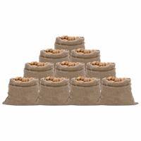 VidaXL Jutezakken 10 stuks 220 g/m² 100x110 cm 100% jute