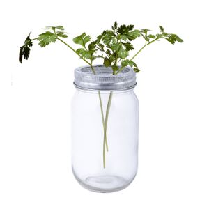 Glazen bloemenvaas/potje met schikdeksel - 400 ml - transparant - Vazen