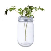 Glazen bloemenvaas/potje met schikdeksel - 400 ml - transparant - Vazen - thumbnail