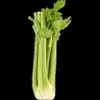 Jumbo Bleekselderij