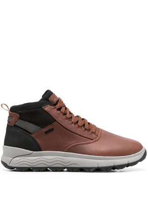 Geox baskets montantes Spherica 4X4 - Marron