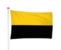 Vlag Tiel - thumbnail