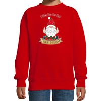 Kersttrui/sweater voor kinderen - Kado Gnoom - rood - Kerst kabouter - thumbnail