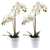 Set van 2x stuks witte orchidee kunstplanten in kunststof pot 65 cm - Kunstplanten - thumbnail