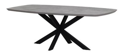 DTP Home Deens Ovale Eettafel 'Vito' Mortex, 250 x 110cm