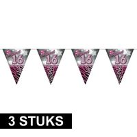 3x stuks leeftijd vlaggenlijnen sweet 16 van 10 meter - thumbnail