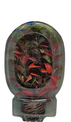 Superfish easy plant laag 13 cm nr. 7 - Superfish