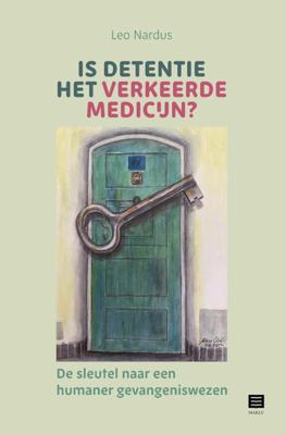 Is detentie het verkeerde medicijn? (Paperback)
