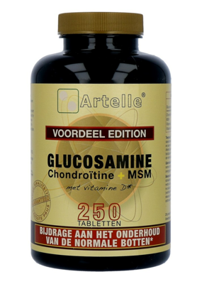 Artelle Gluco Chondro MSM Tabletten