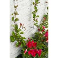 Metallic Trellis Nature 6040760 - voor klimplanten