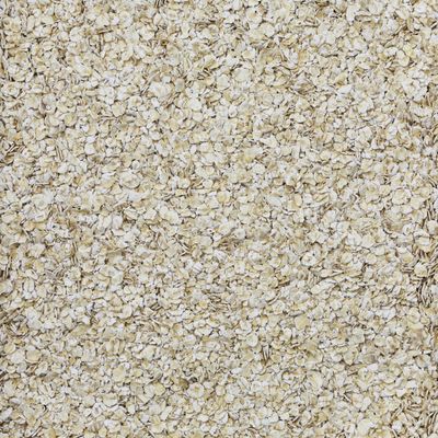 Havermout (bio) 5 kg zak
