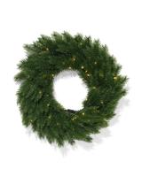 HEMA Kerstkrans Met Lichtjes (groen)