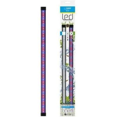 CIANO CLN5 wit en RGB 1.5W led ramp + transformator voor nexus Betta Life 5C en Diamond 14C CIANO