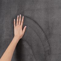 Karpet24 Modern Bont tapijt Lina Antraciet-200 x 290 cm
