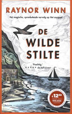 De wilde stilte (Paperback)