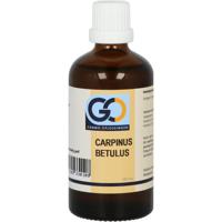 GO Carpinus betulus BIO GO Carpinus betulus BIO