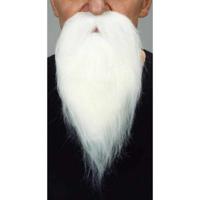 Valse baard My Other Me Wit