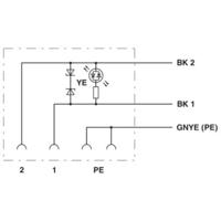 Phoenix Contact SAC-3P- 5,0-PVC/C-1L-Z 1439528 Klepstekker met aangegoten kabel Zwart Inhoud: 1 stuk(s)