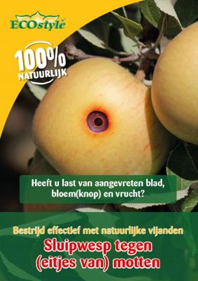 Sluipwesp tegen eitjes van motten - Ecostyle natuurlijke vijanden