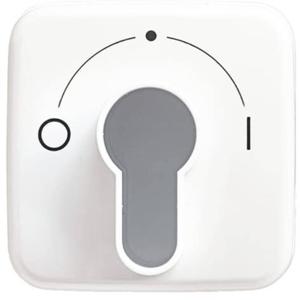 Busch-Jaeger 2CKA001710A1456 Sleutelschakelaar, Sleuteltoets Afdekking Reflex SI Wit, Zuiver wit (RAL 9010) 1 stuk(s)
