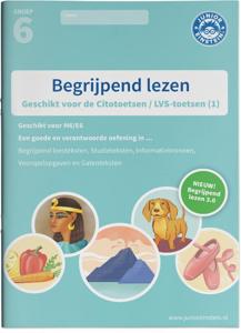 Begrijpend lezen (Paperback)