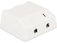 DeLOCK Keystone Surface Mounted Box 2 Port behuizing - thumbnail