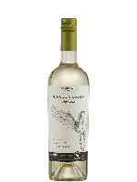 Miguel Torres Andica Sauvignon Blanc Reserva Bio | Witte wijn | Chili | Gratis verzending v.a. 6 flessen - thumbnail