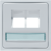 Inzetplaat voor dubble data aansluiting wit Presto-Vedder 3048DCAT5UW Inzetplaat voor dubble data aansluiting wit Presto-Vedder 3048DCAT5UW