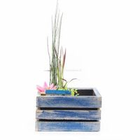 Mini vijver in houten kistje blauw - 2 stuks - thumbnail