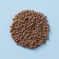 Bruine linzen (bio) 5 kg baal