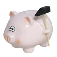 Spaarpot Varken - met hamertje - dieren thema - 11 x 11 x 14 cm - roze - keramiek - kinderen