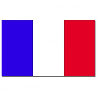 Vlag Frankrijk - 90 x 150 cm - Franse Vlag - France
