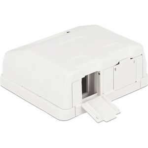 DeLOCK Keystone Surface Mounted Box 2 Port behuizing