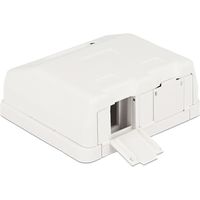 DeLOCK Keystone Surface Mounted Box 2 Port behuizing - thumbnail